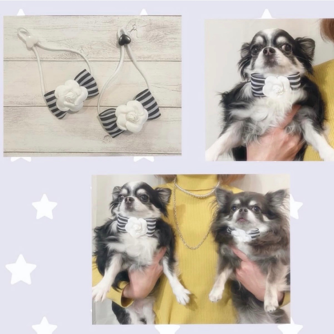 カメリア リボンタイ