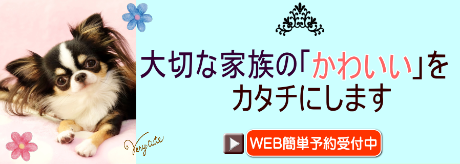 https://agx.power-k.jp/hm-hmml/view/hmml/hmml010/hmml01000.html?sCompanyCd=6422&sOfficeCd=6418
